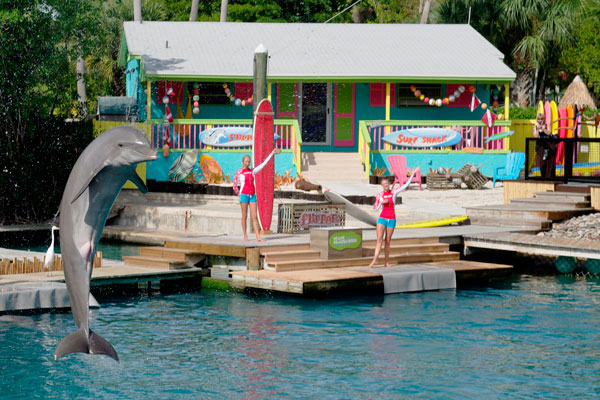 Miami Seaquarium Discount Tickets
